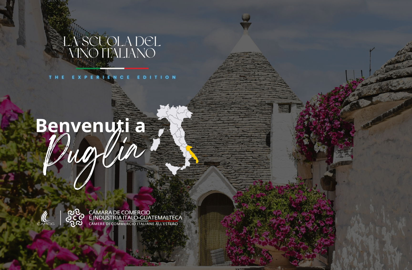 Benvenuti a Puglia — La Scuola del Vino Italiano, The Experience Edition